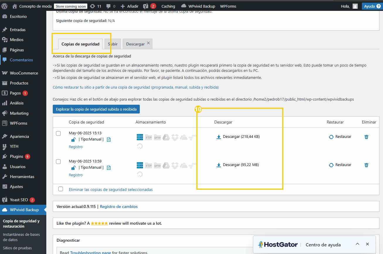 Interface do plugin de backup do WordPress, mostrando opções de cópias de segurança, armazenamento e detalhes de download