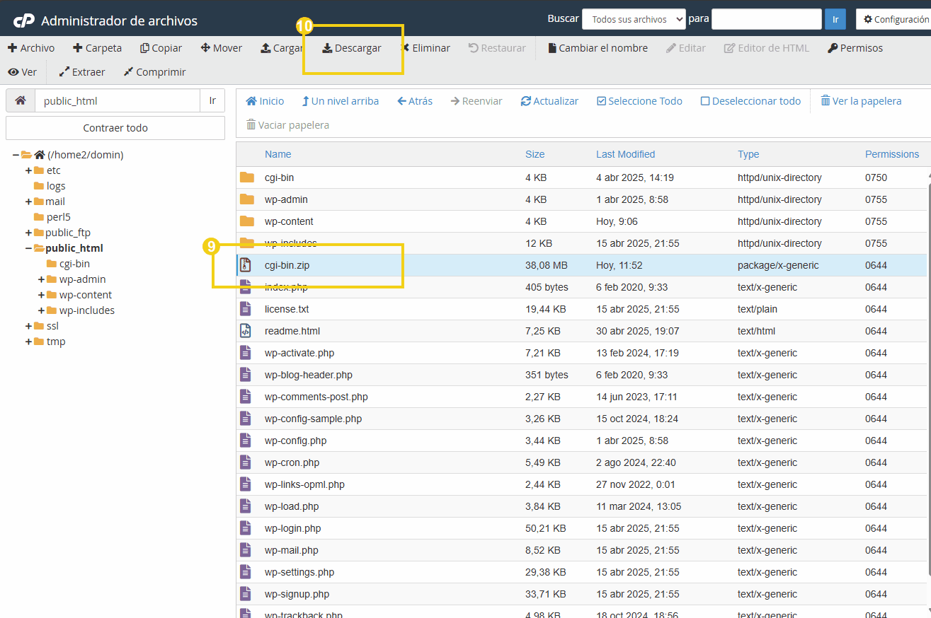 Imagem do painel de controle do cPanel, mostrando a opção para baixar o arquivo cgi-bin.zip dentro da pasta public_html.