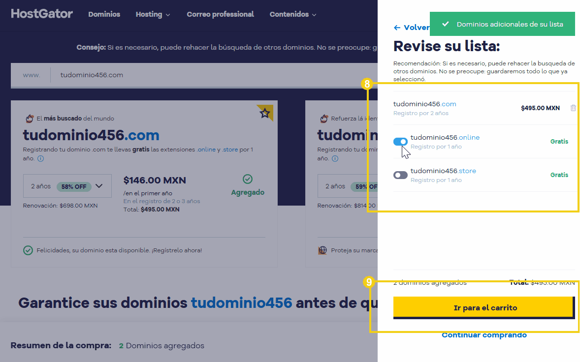 imagen com a lista dos dominios adicionados para ativar os dominios gratuitos y verificar el escogido
