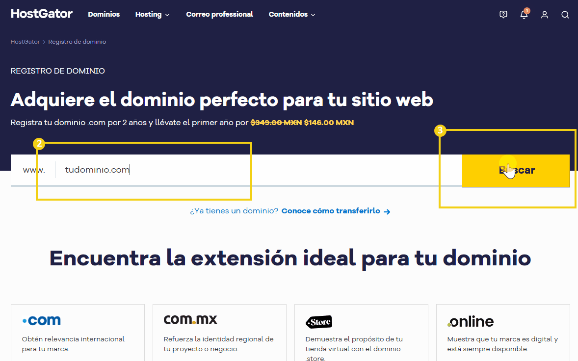 imagen mostrando campo para digitar el dominio y boton de busqueda