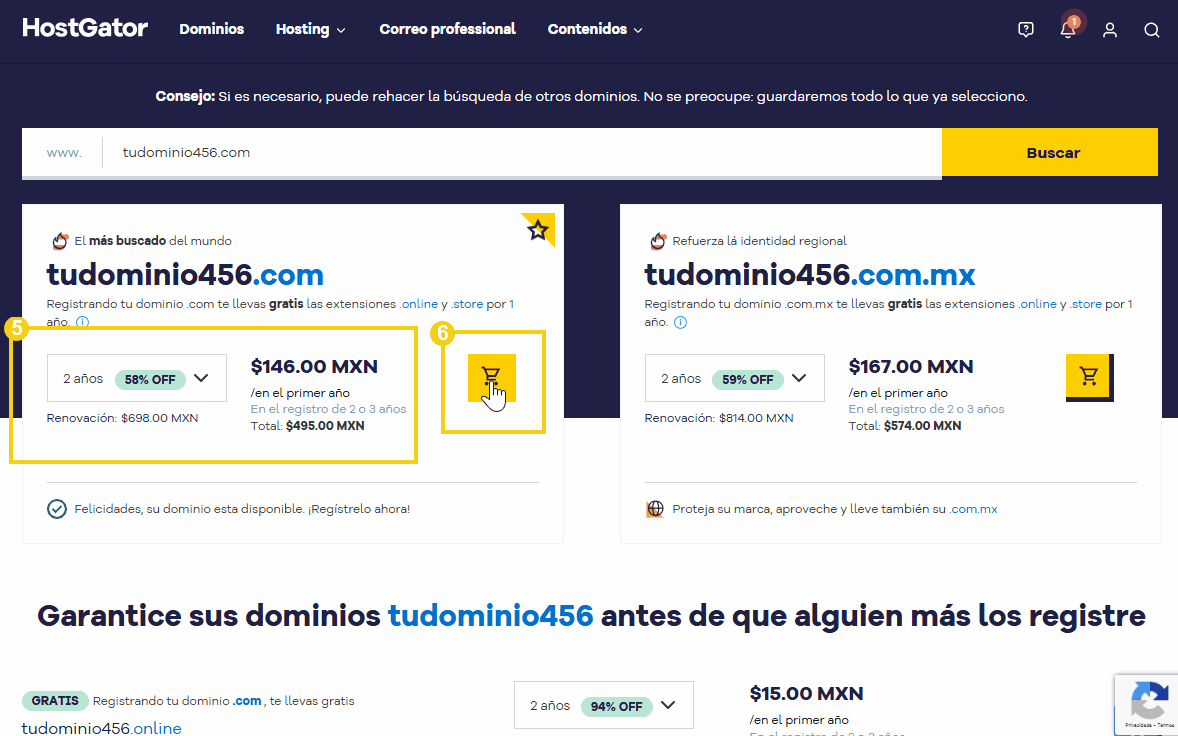 imagem para selecionar dominio a registrar, verificar precio y valor de pago y renovación