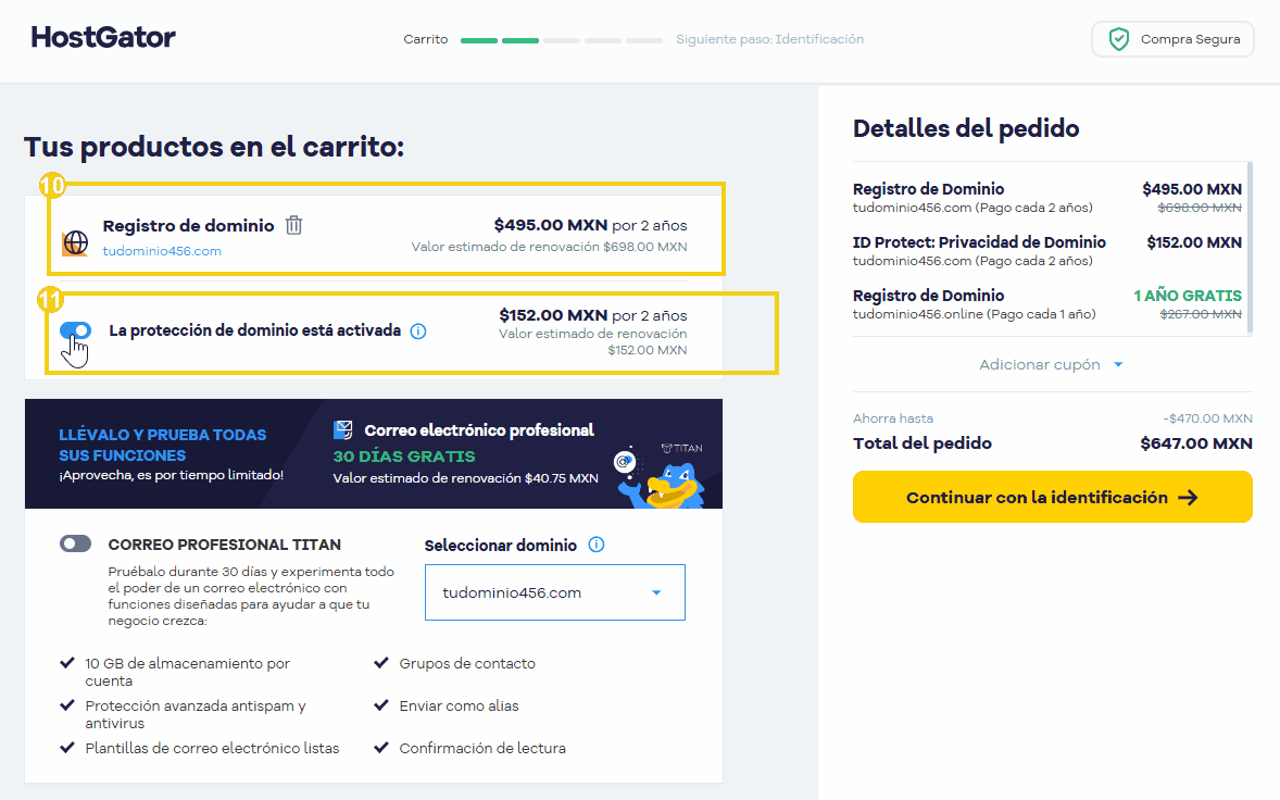 imagen con nombre del dominio y protección ID activa