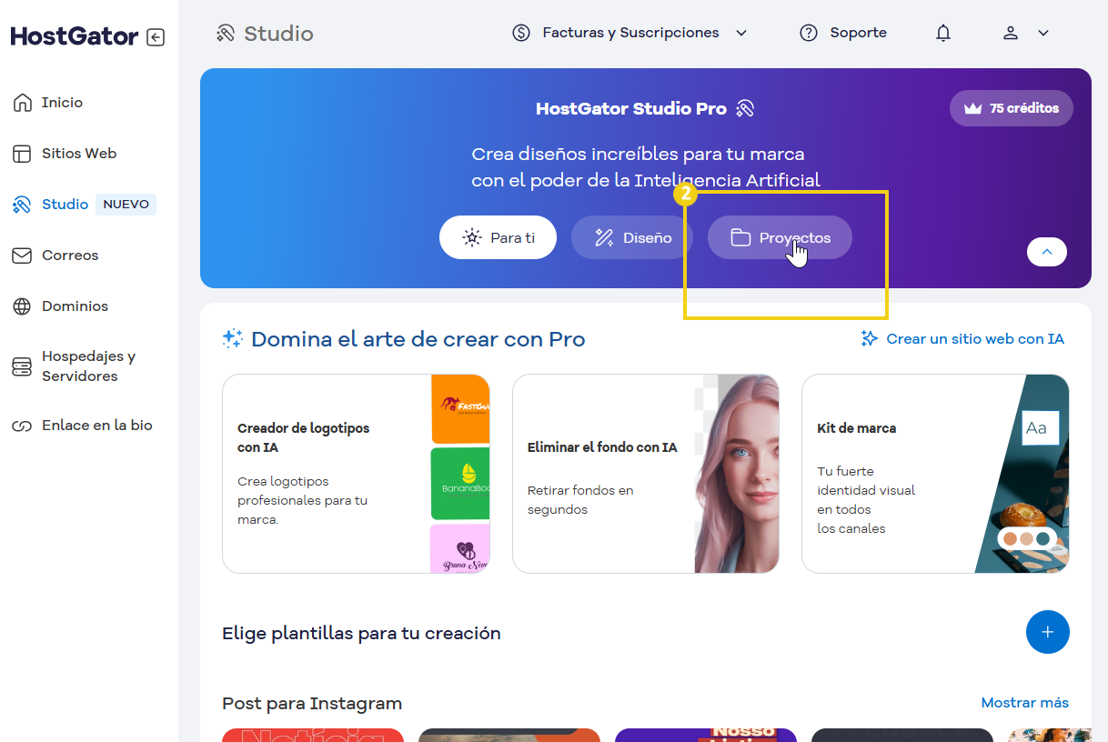 imagen dentro del portal del cliente en la parte de studio que muestra el boton de proyectos en el plan pro