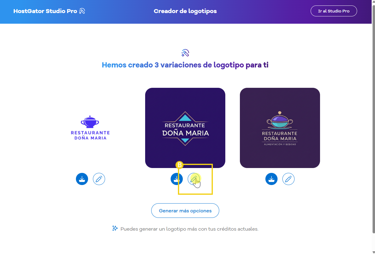  Imagen mostrando el botón para editar el logotipo.