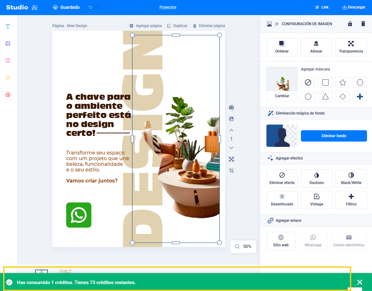 Imagen mostrando el panel del editor con la imagen seleccionada ya con el fondo eliminado