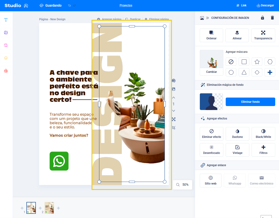 Imagen mostrando el panel del editor con la imagen seleccionada ya con el fondo eliminado 