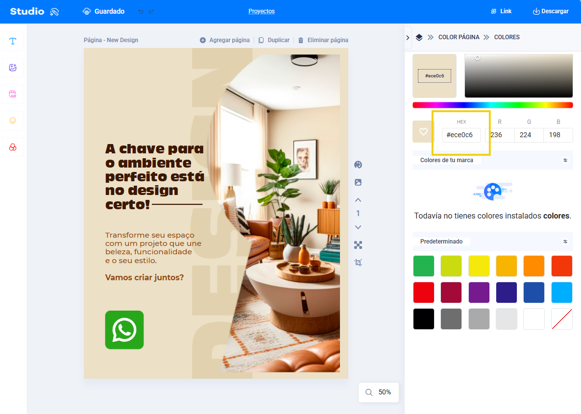 imagen del editor del estudio mostrando los ajustes de página destacando la elección del color por código HEX. 