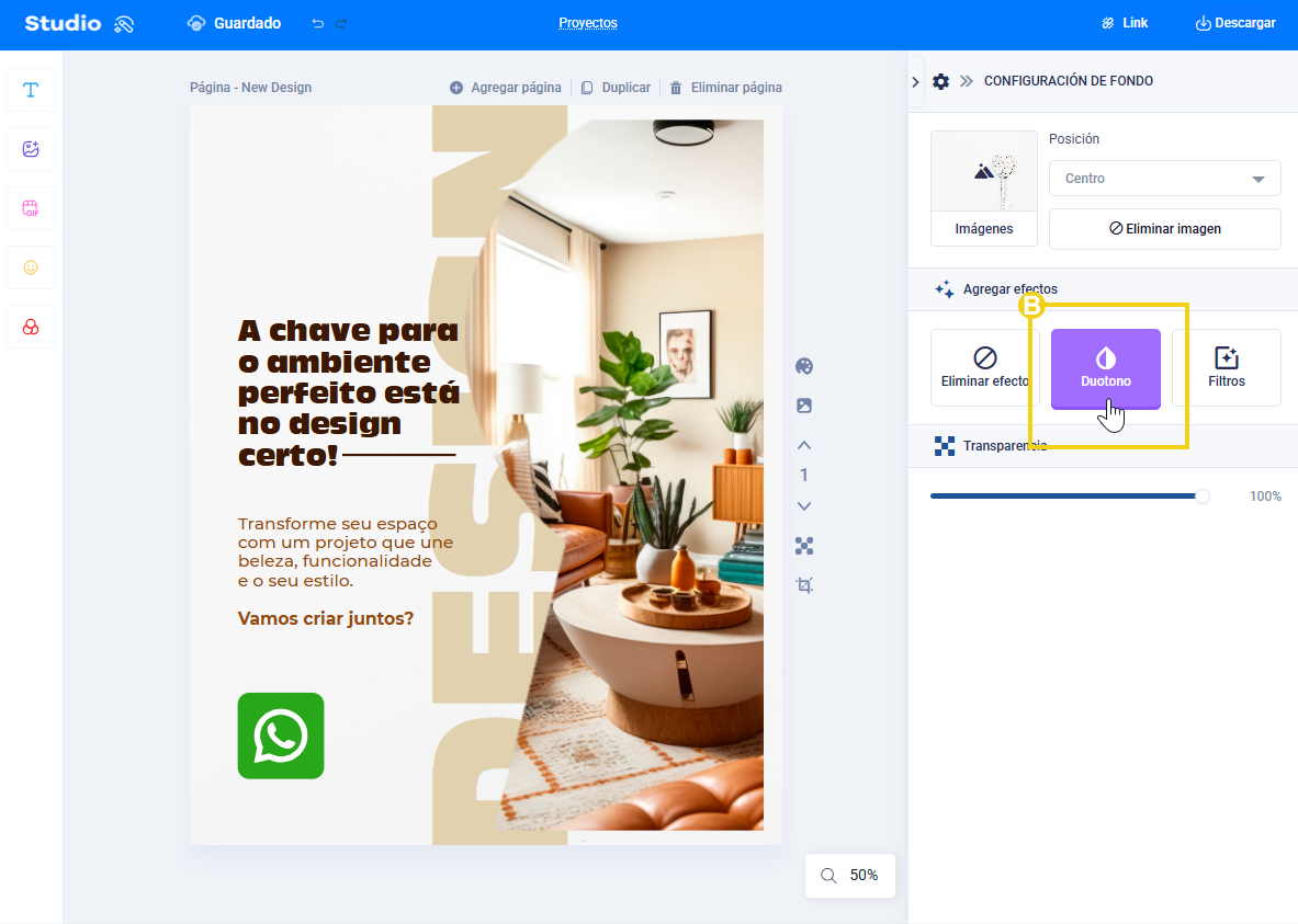 imagen del editor del estudio mostrando cómo agregar efectos en la imagen del fondo destacando el duotono