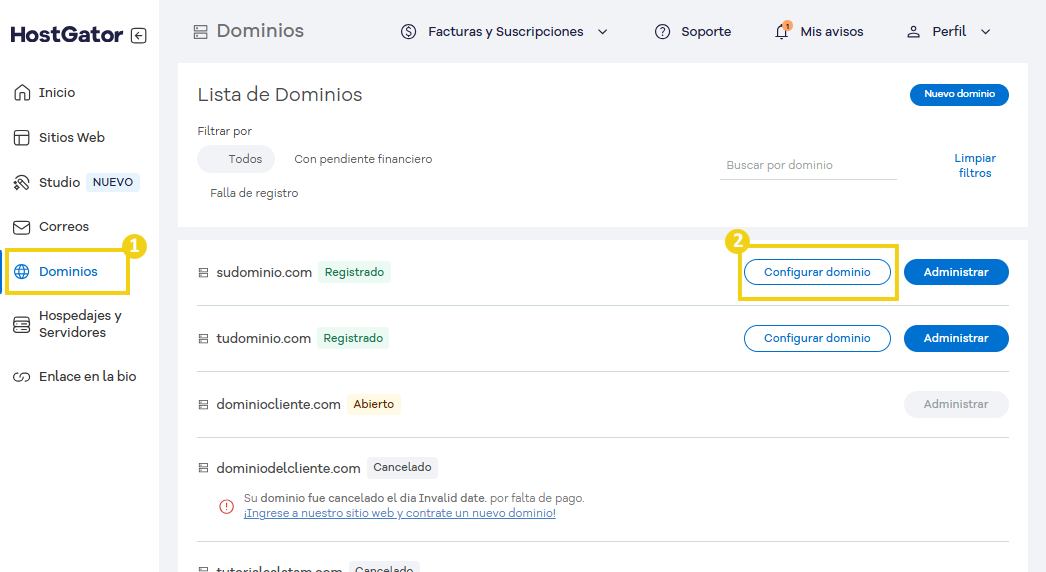 Imagen de la plataforma HostGator que muestra las opciones de administración de dominios y la configuración de DNS, ideal para aquellos que buscan crear o contratar un dominio en el alojamiento de sitios web.