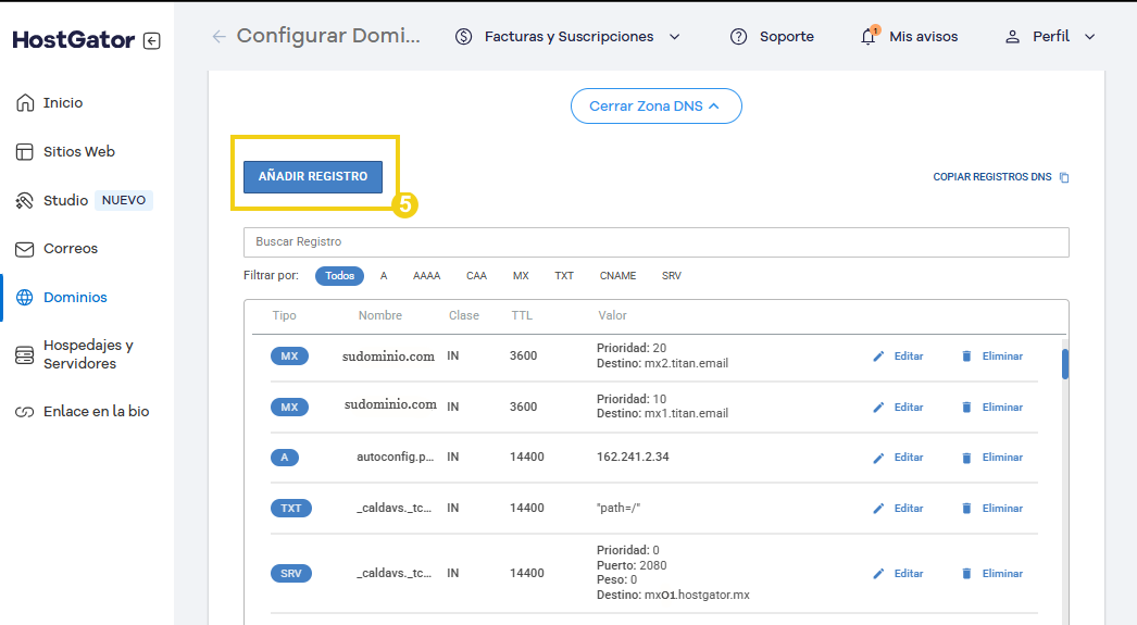 Imagen que muestra el panel de configuración avanzada de DNS, que contiene opciones para agregar registros DNS, como TXT y SRV, a una interfaz de servicio de alojamiento de dominio