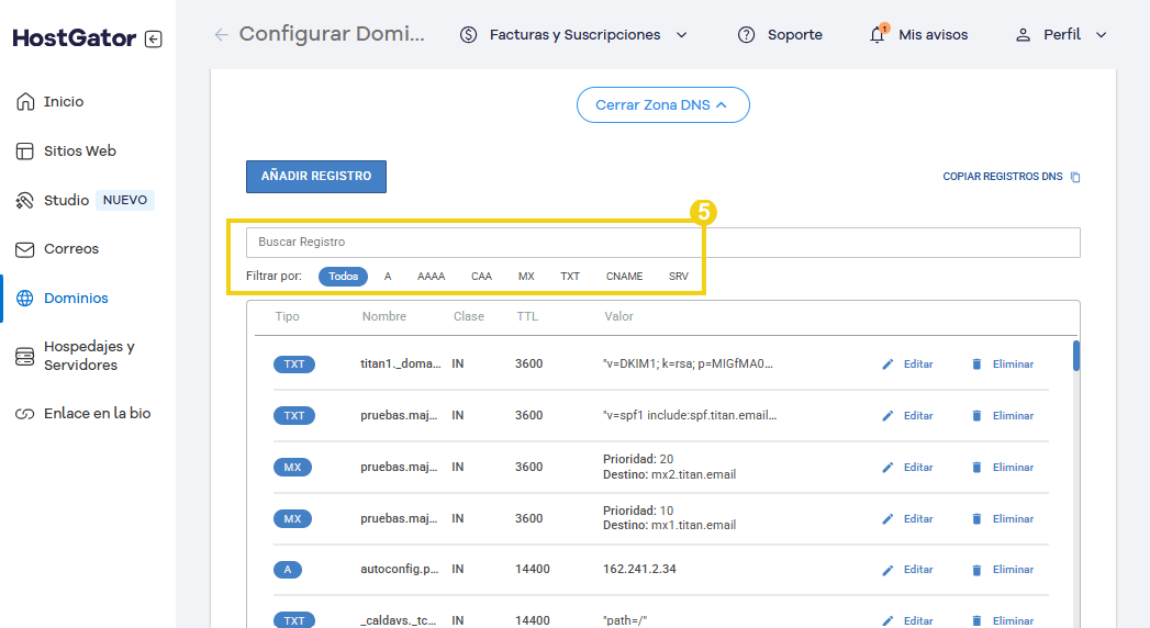 Pantalla de configuración avanzada en la zona DNS de HostGator que muestra los filtros para los registros DNS del dominio, incluidos los tipos TXT y SRV, con opciones de edición y eliminación.