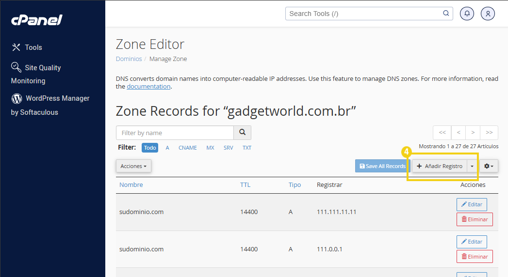 Imagen de la interfaz del Panel de control de zona DNS del dominio que muestra la configuración de DNS, los registros y las opciones para agregar o editar registros.