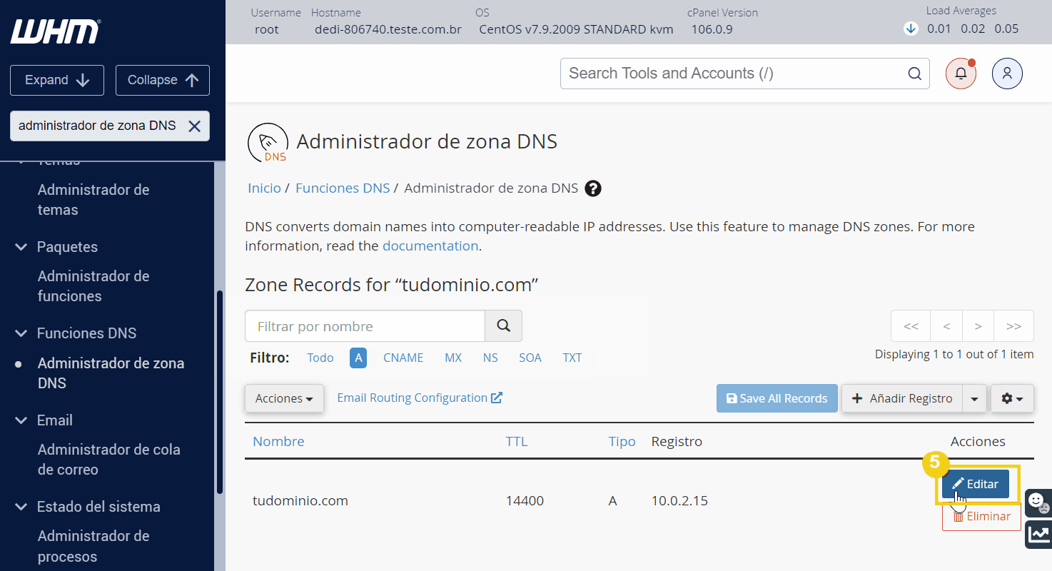 imagen ilustrativa mostrando como editar una zona DNS