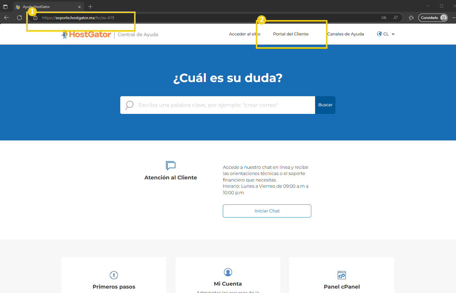 Imagen ilustrativo de la pagina principal de la central de ajuda, mostrando el boton del portal del cliente