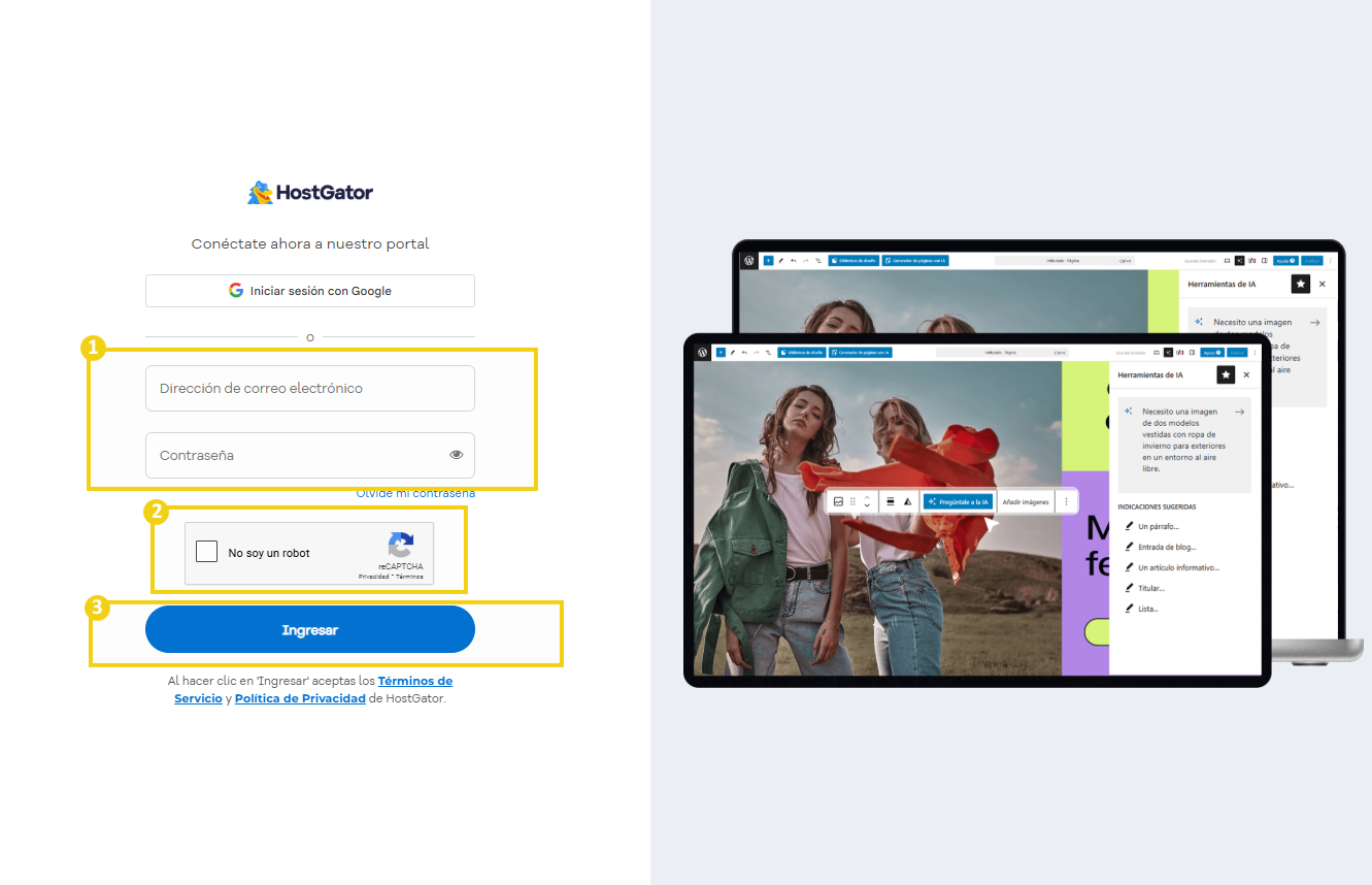 Imagen ilustrativa mostrando la pagina de login por correo electronico y contraseña