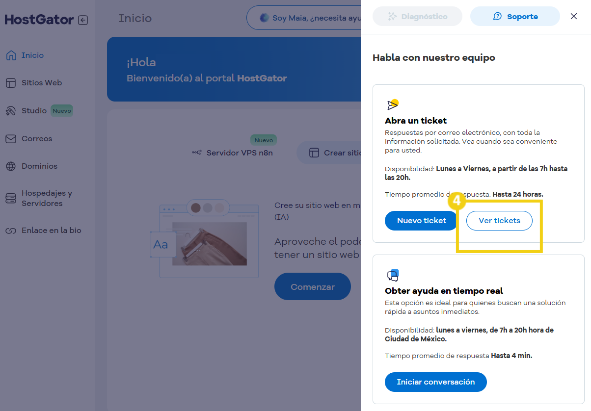 La imagen resalta el botón que se debe hacer clic: 'Ver ticket'