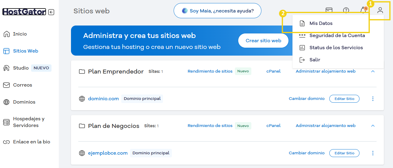 Pantalla del panel de control de un servicio de alojamiento web, con opciones para administrar y crear dominios y sitios web de una manera fácil e intuitiva.