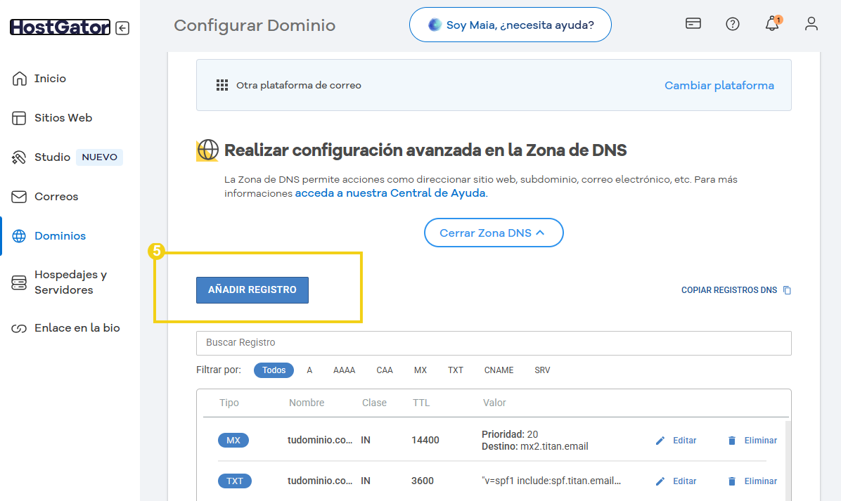 Imagen ilustrativa del panel de configuración avanzada en la zona de DNS de HostGator, mostrando la opción de agregar nuevo registro de DNS para gestión de dominios.