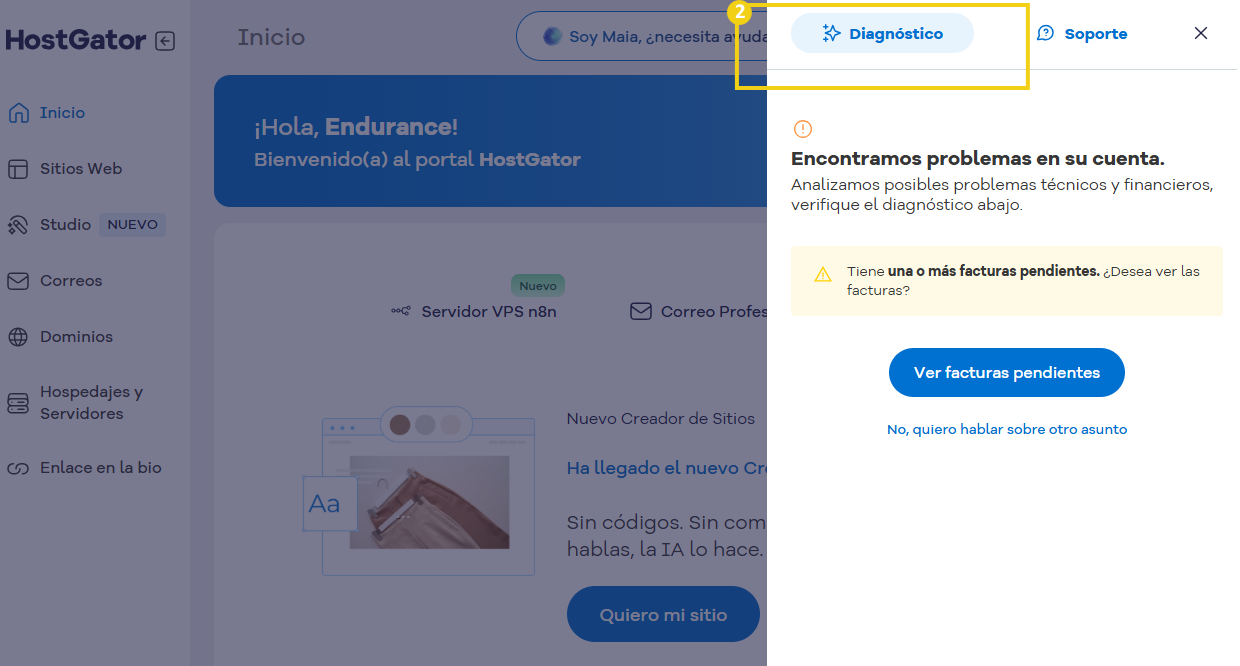 Imagen ilustrativa del portal del cliente destas=cando el boton diagnóstico 