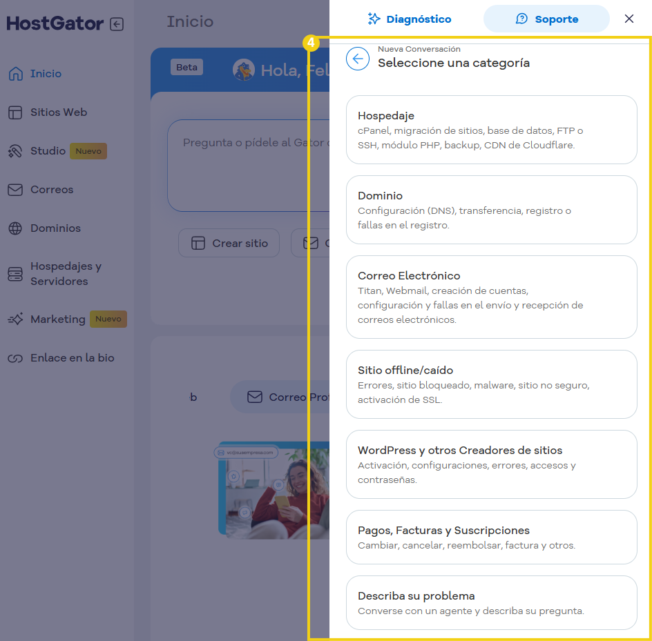 imagen del portal, mostrando las categorias de atendimiento