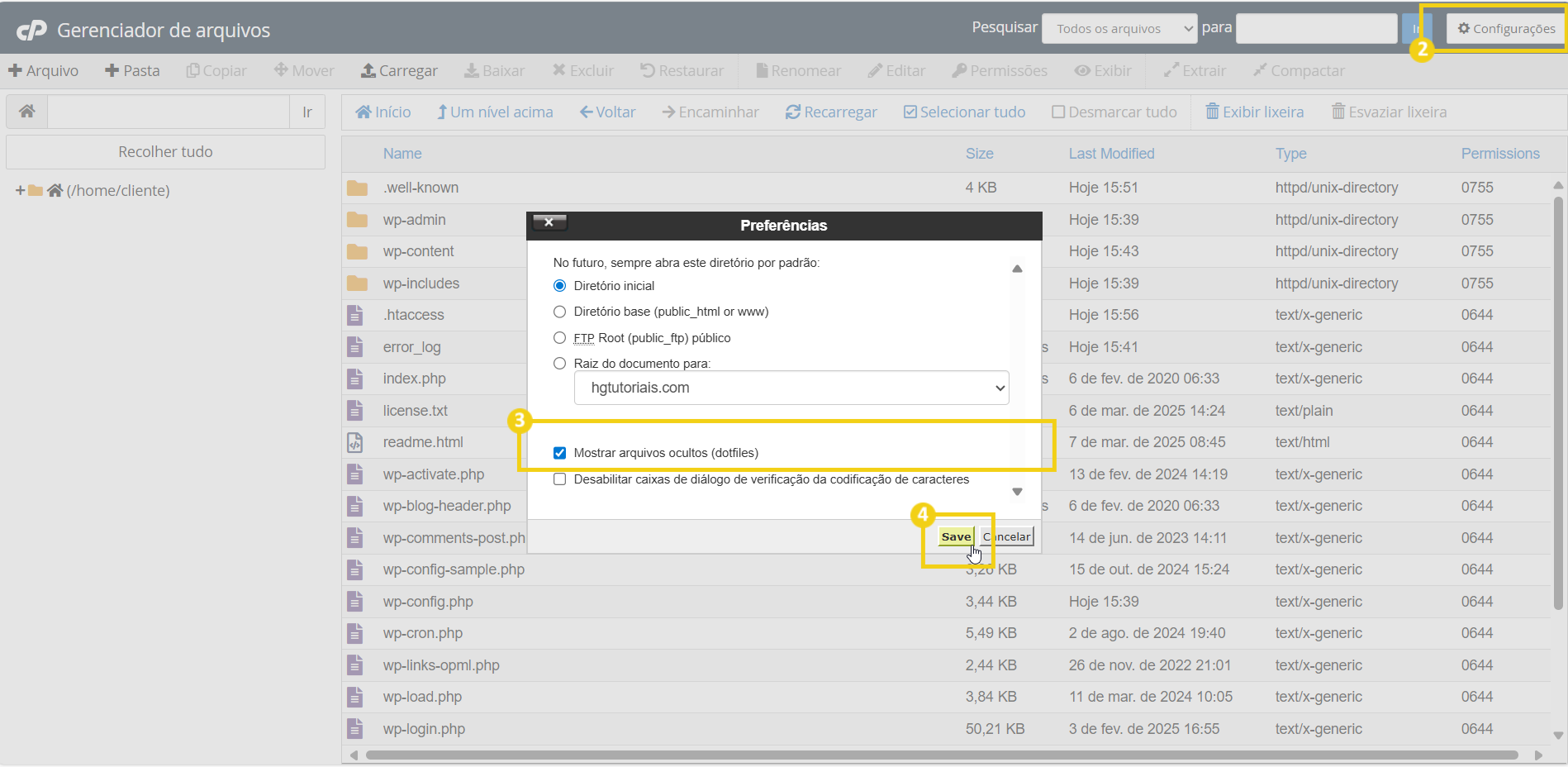 Tutorial paso a paso sobre configuraciones de archivos en el panel de gestión de archivos, destacando la activación de archivos ocultos y guardar.