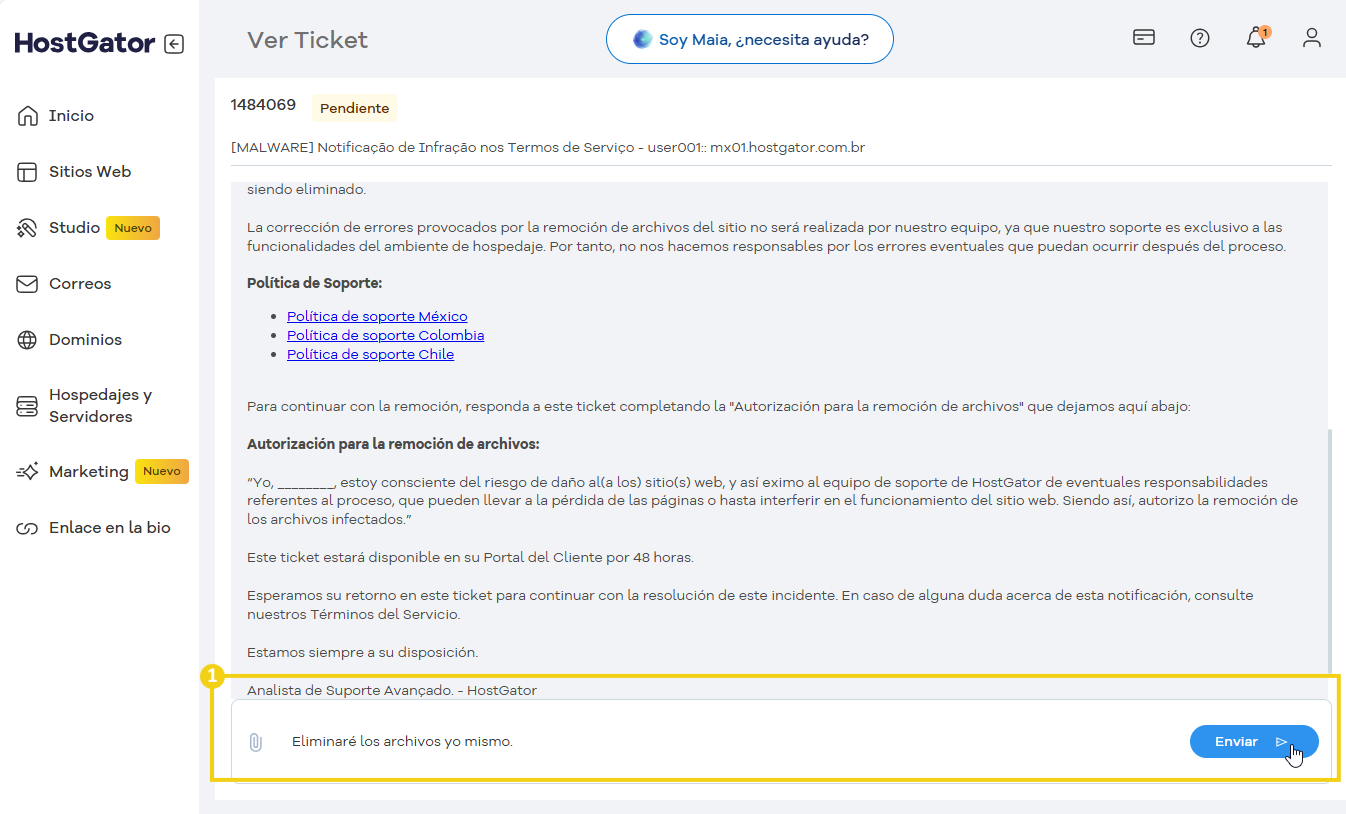 Imagen de una pantalla de soporte avanzado de HostGator, con opciones de eliminación de archivos y análisis de soporte técnico