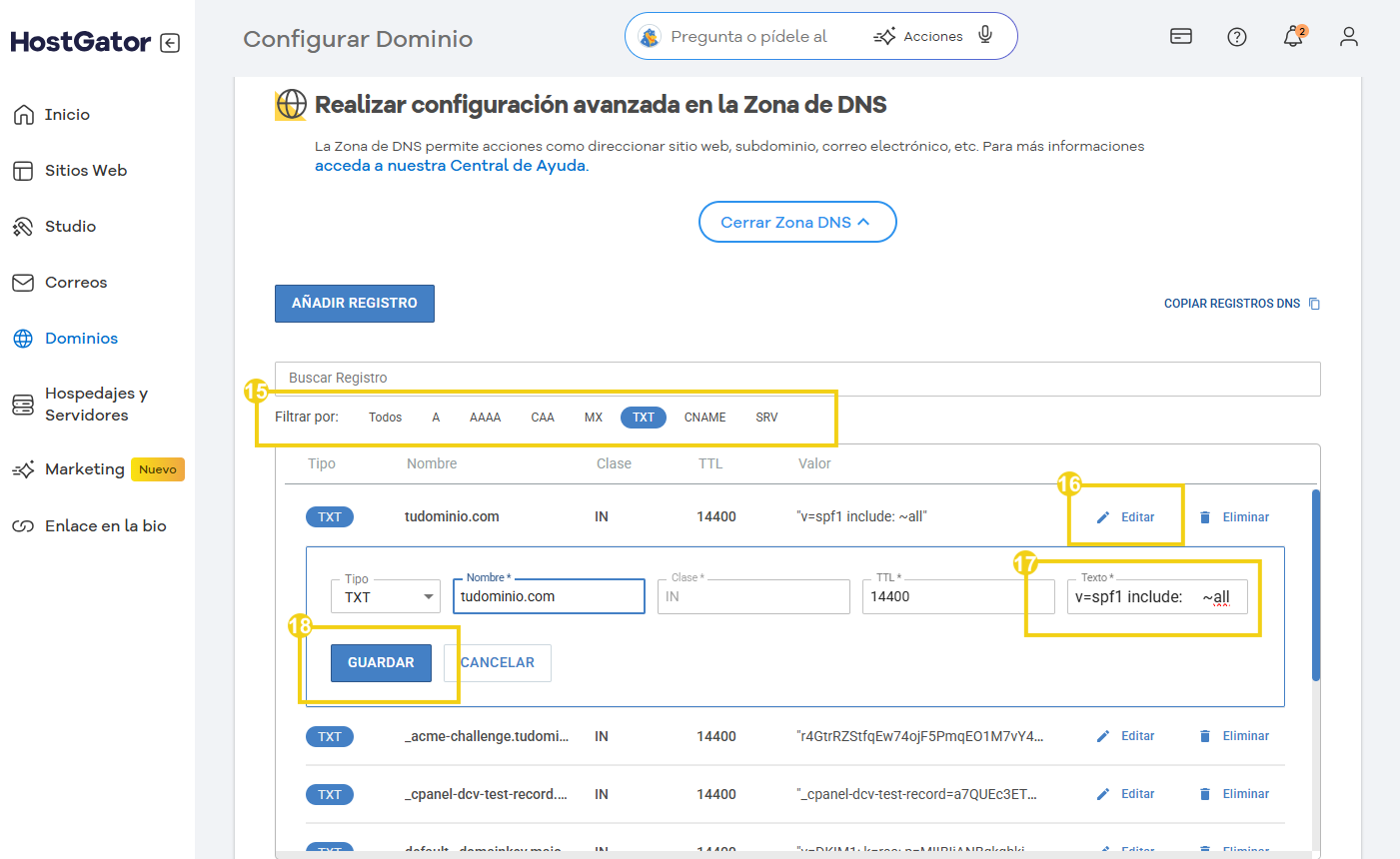 zona de dns del portal del cliente