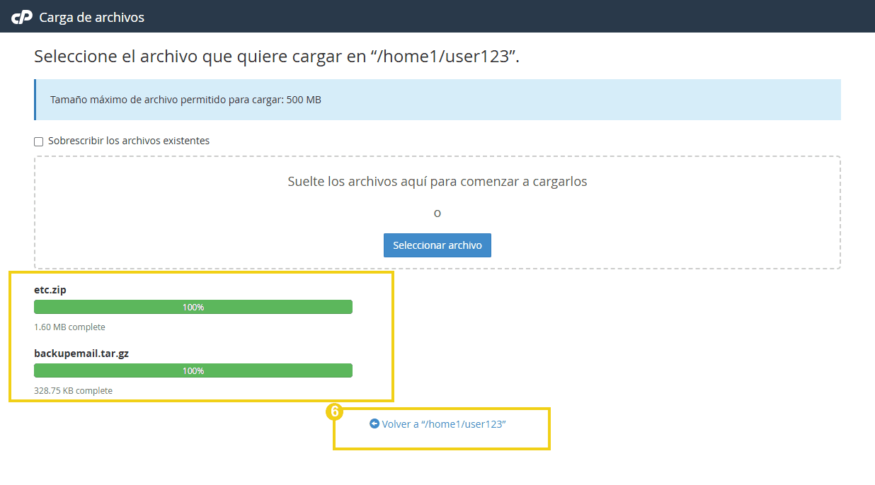 La imagen muestra el administrador de archivos del cPanel con el botón de retorno a la página de inicio resaltado.