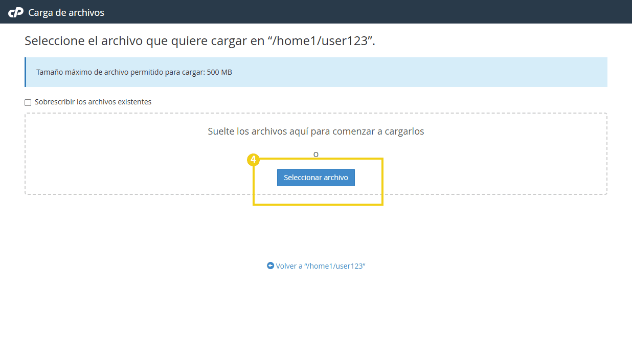 La imagen muestra el administrador de archivos de cPanel con el botón "Seleccionar archivo" resaltado. 