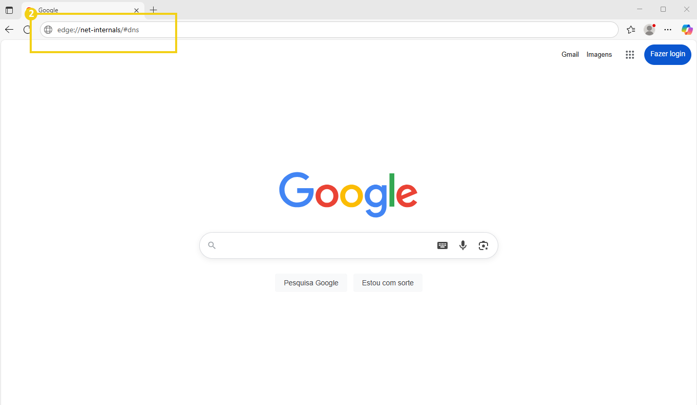 Captura de pantalla del navegador Microsoft Edge abierto en la página de Google que muestra la URL edge://net-internals/#dns y el logotipo de Google en la página de inicio.