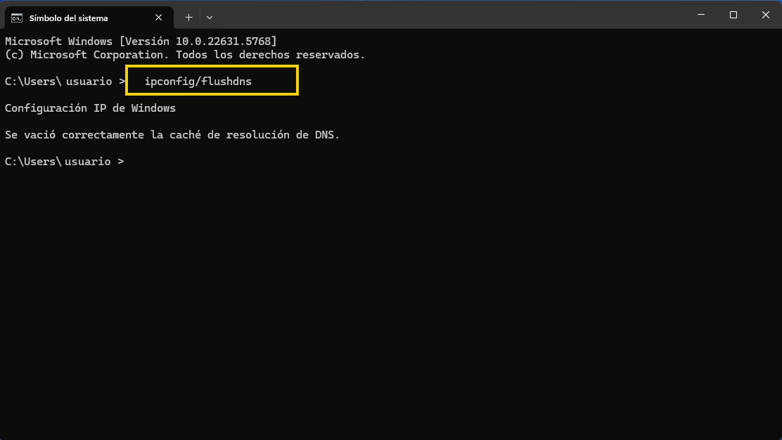 La imagen muestra la pantalla con el comando ipconfig/flushdns ejecutándose en el símbolo del sistema de Windows para borrar la caché de DNS y mejorar la resolución de nombres en la red.