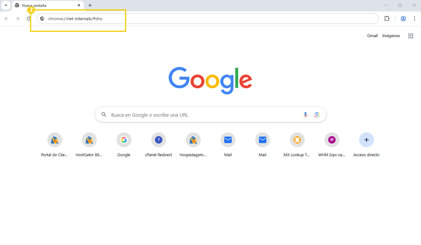 Captura de pantalla de Google Chrome abierto, que muestra la URL chrome://net-internals/#dns y el logotipo de Google en la página de inicio