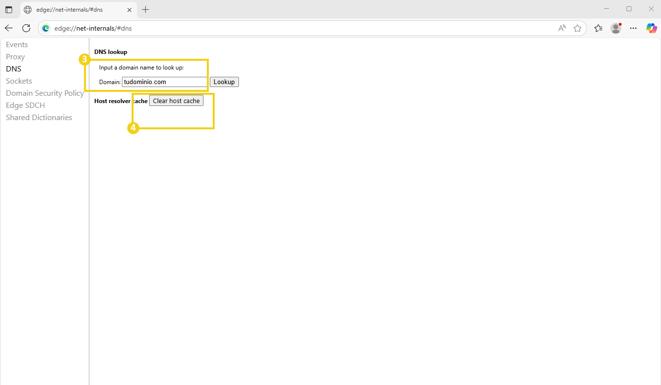Imagen que muestra una interfaz de verificación de DNS, con campos para ingresar el nombre de dominio y realizar la consulta DNS en el navegador