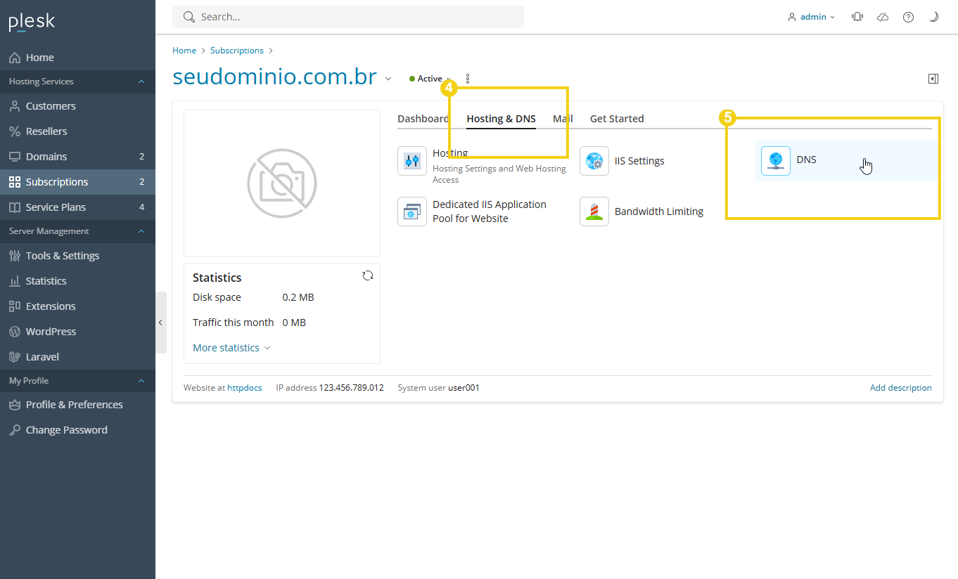 Gerenciar DNS Plesk.png