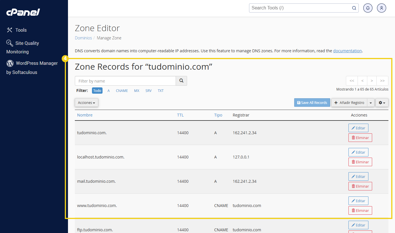 Tela administrar zona DNS.png