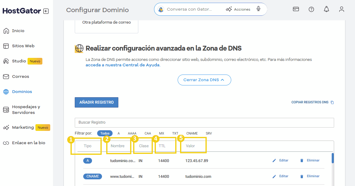 La imagen muestra la pantalla del Portal del Cliente en el área de la Zona DNS, resaltando los campos de un registro
