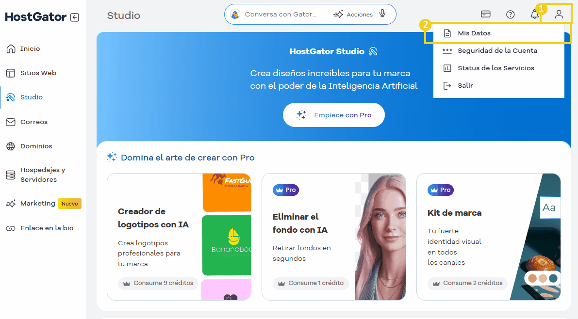 Pantalla del panel de control de un servicio de alojamiento web, con opciones para administrar y crear dominios y sitios web de una manera fácil e intuitiva.