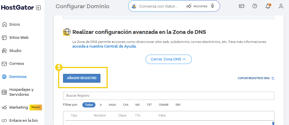 Imagen de la pantalla del portal del cliente, con la zona DNS abierta, resaltando la opción de registro Anadir
