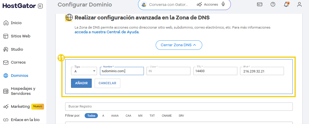 Imagem da tela do portal do cliente, com a zona de DNS aberta, destacando as opção de apontamento: tipo, Nome, clase, ttl, valor