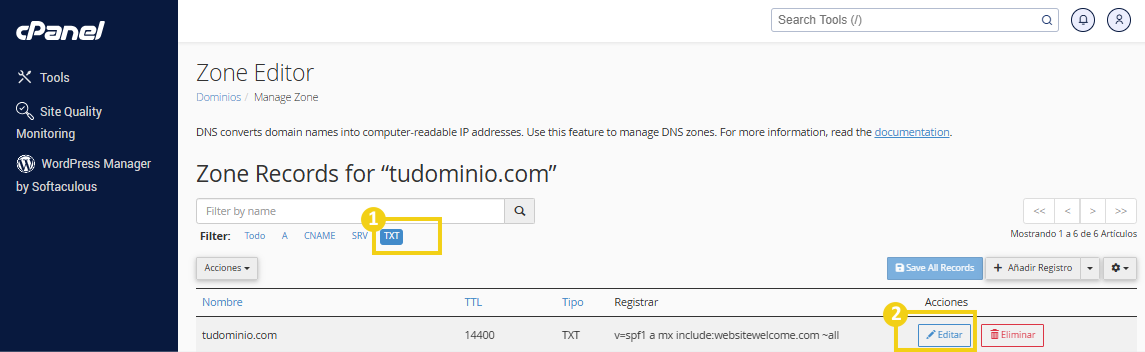 La imagen muestra la pantalla del panel cPanel en la opción de editor de zona, resaltando la opción "txt" seleccionada y el botón "editar".