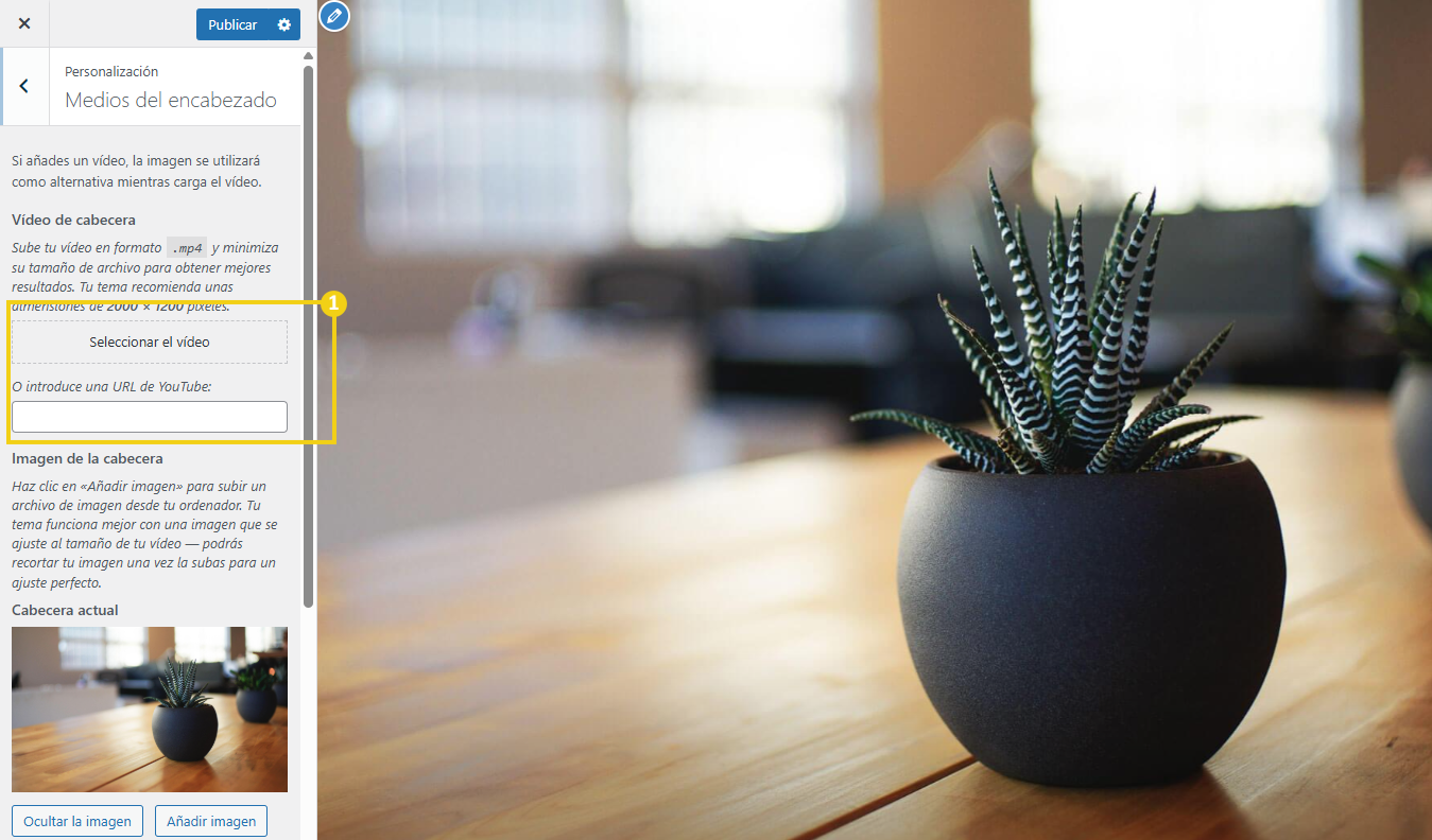 Como personalizar o tema do site no WordPress