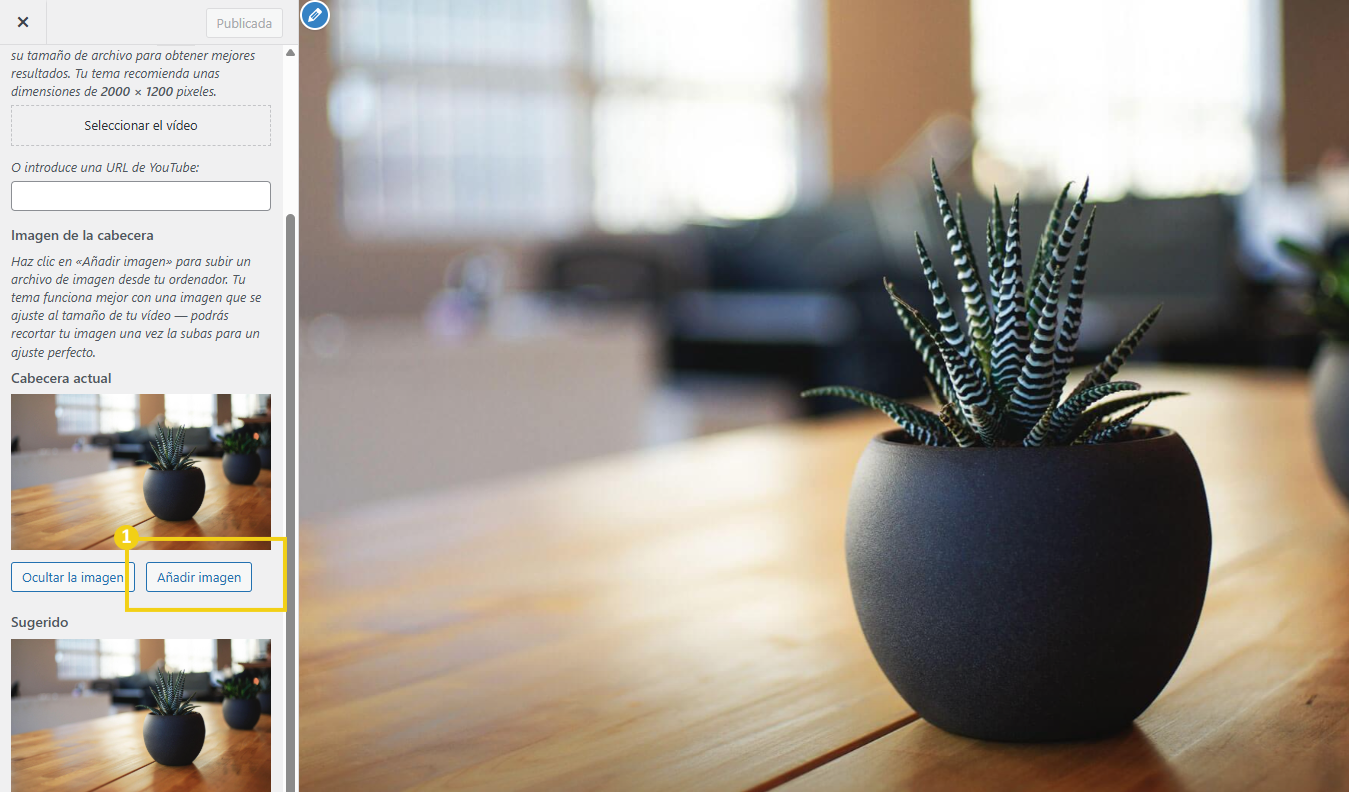 Como personalizar o tema do site no WordPress