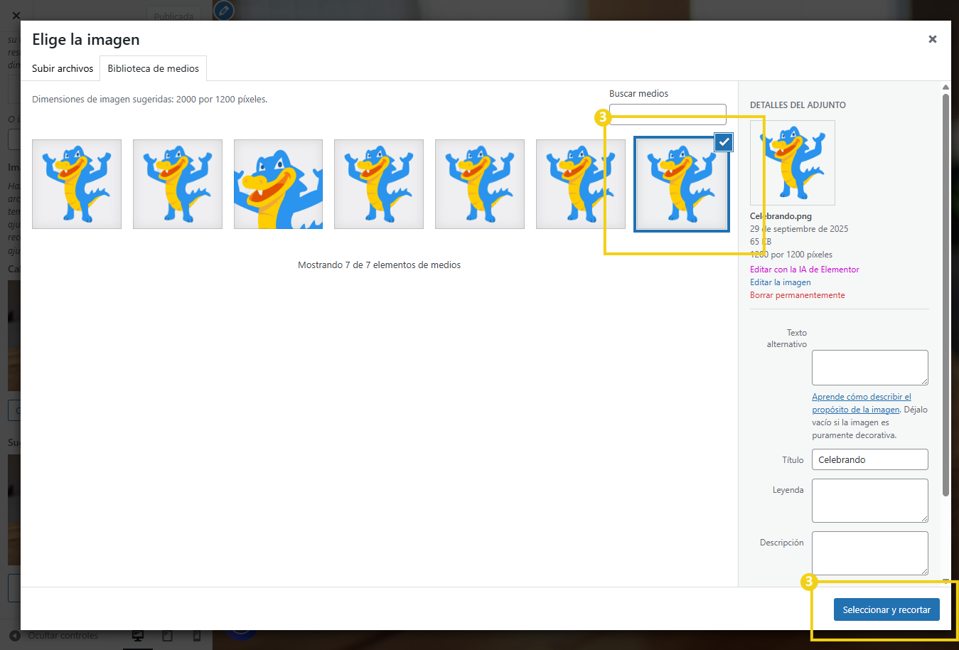 Como personalizar o tema do site no WordPress 