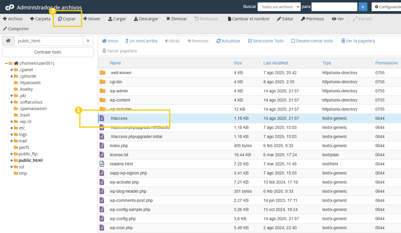 Quais as funcionalidades do Gerenciador de arquivos do cPanel