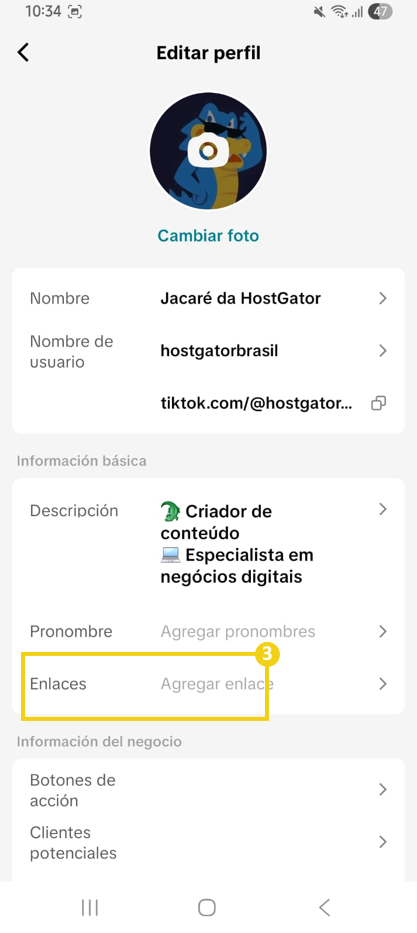 Como adicionar o Link na Bio nas redes sociais 