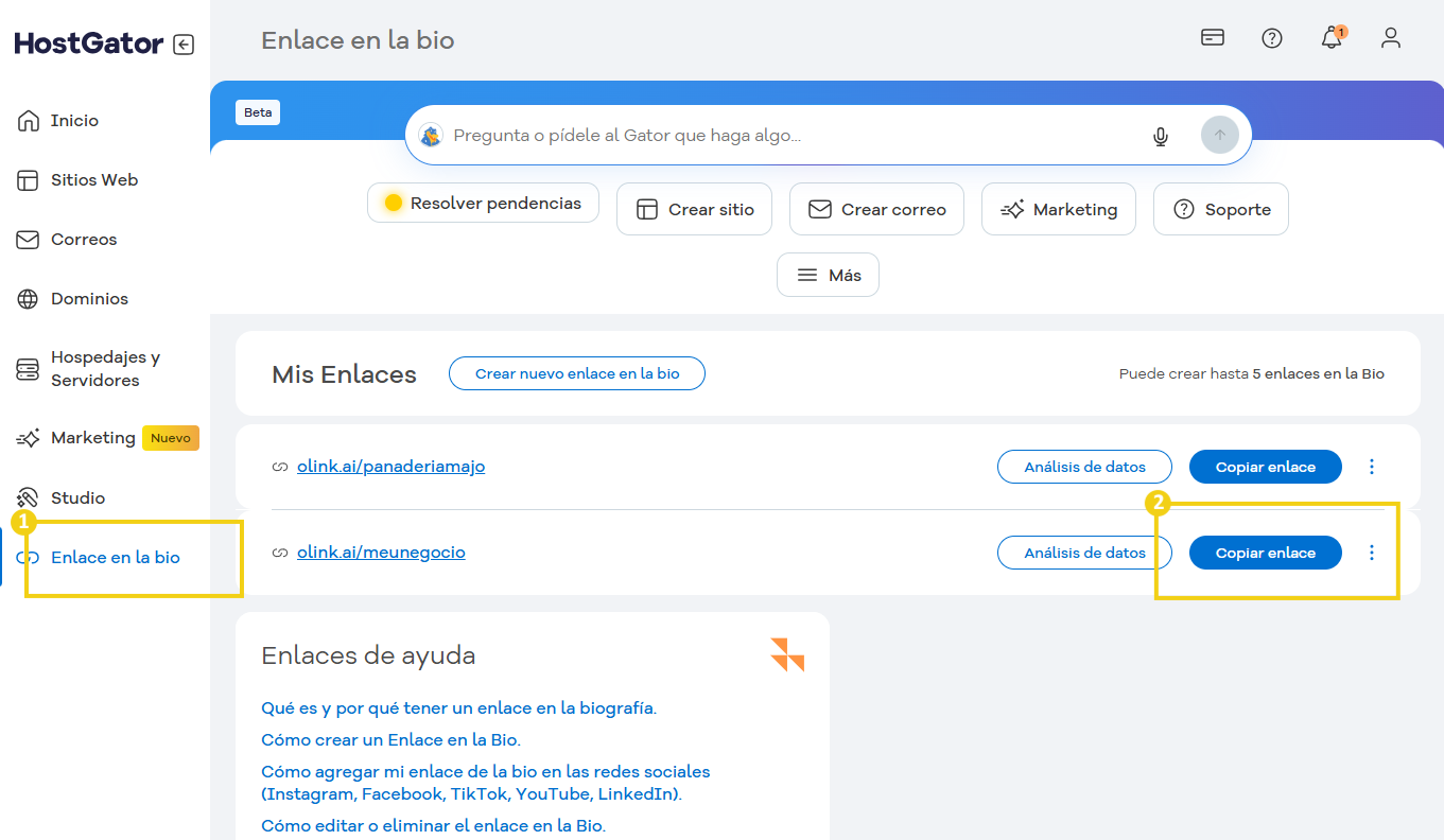 Como adicionar o Link na Bio nas redes sociais - Enlace en la bio