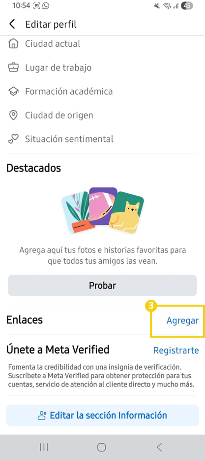 Como adicionar o Link na Bio nas redes sociais 