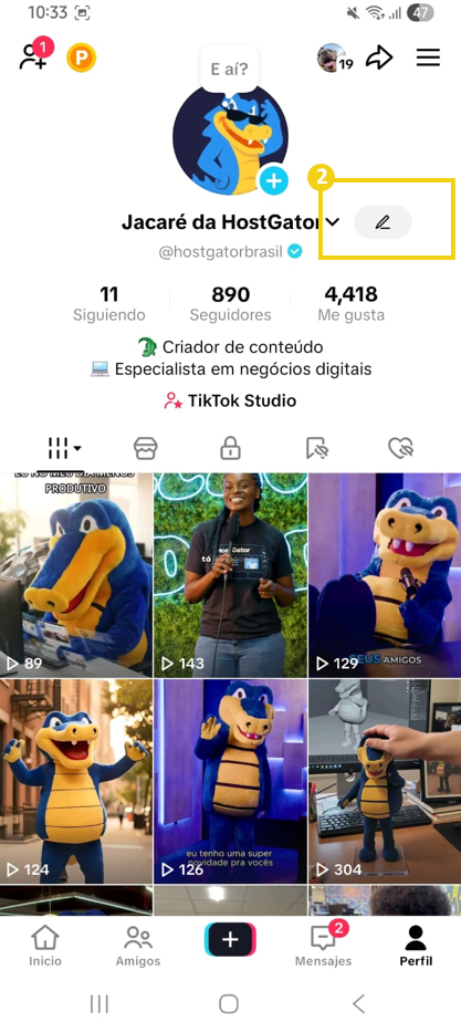 Como adicionar o Link na Bio nas redes sociais 