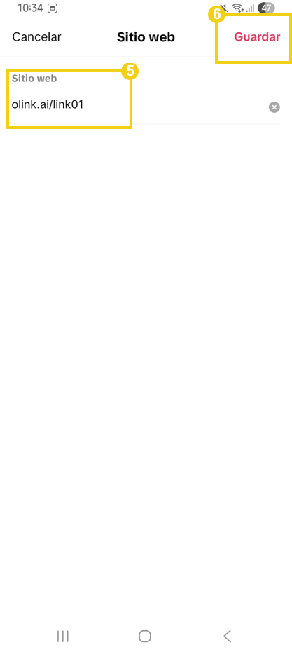 Como adicionar o Link na Bio nas redes sociais 