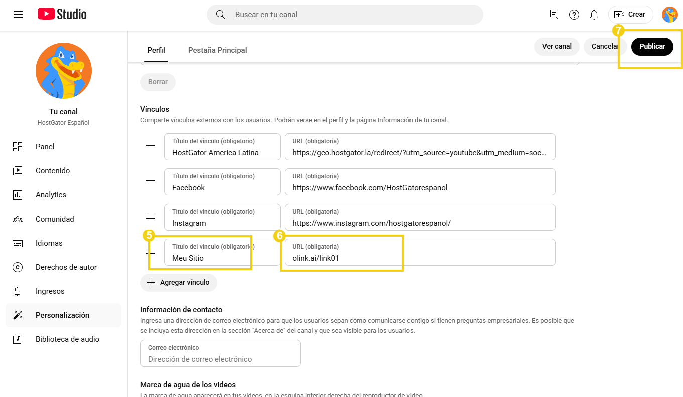 Como adicionar o Link na Bio nas redes sociais